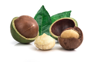 macadamia nuts on white background
