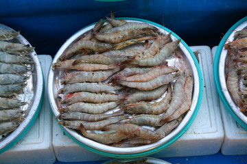 Shrimps at Jagalchi fish market, Busan, Korea
