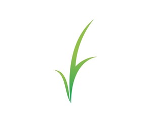 grass of ecology icon illustration