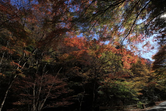 花園渓谷 の画像 57 件の Stock 写真 ベクターおよびビデオ Adobe Stock