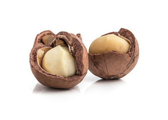 macadamia nuts on white background
