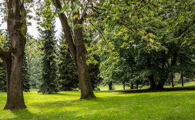 Fototapeta na wymiar Luxembourg city public park