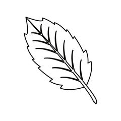 tree leaf decoration