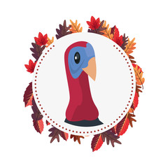 thanksgiving turkey leaves round sticker