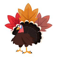 cute turkey and maple leaves