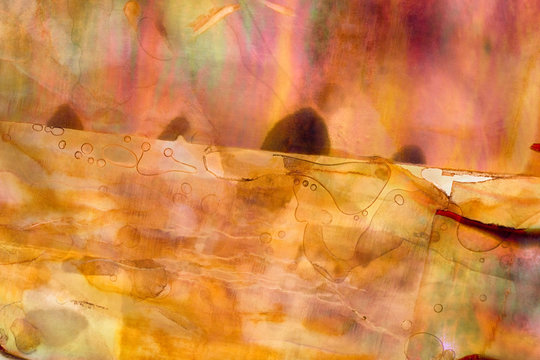 Closeup macrophotograph of the abstract patterns and coloration in the plastic disk disc of an earring