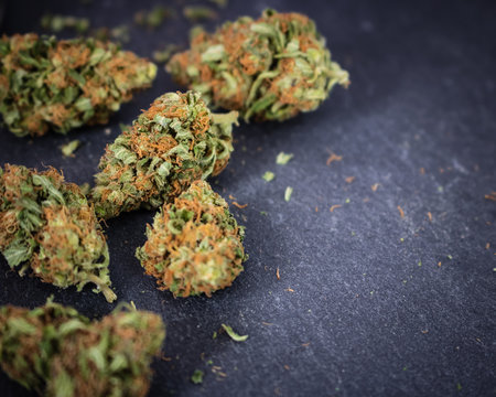 Group of marijuana nugs up close