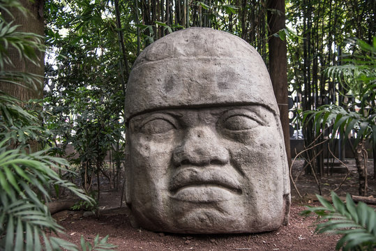 cabeza olmeca mexicana, de tabasco antigua cultura ancestral