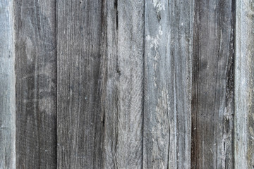 wood panel texture with natural pattern for design and decoration. Copy space