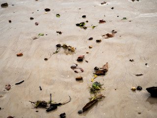 Garbage and round stones on Nopparat Thara Beach, Ao Nang, Krabi, Thailand.