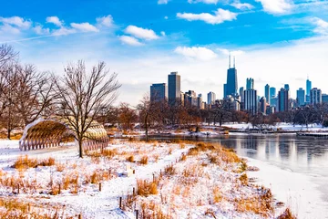 Tuinposter Chicago Skyline from Lincoln Park Chicago during the Winter © James