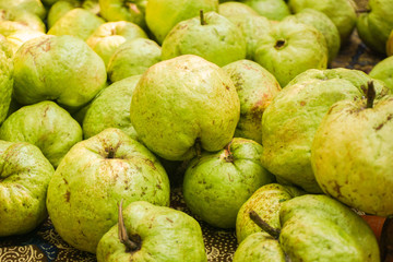 guava fruit with green color and close up group from central java
