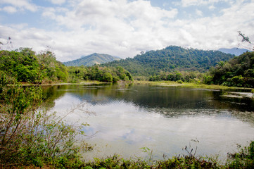 Landscape with tranquil lake with vegetation on the bank