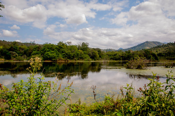 Landscape with tranquil lake with vegetation on the bank
