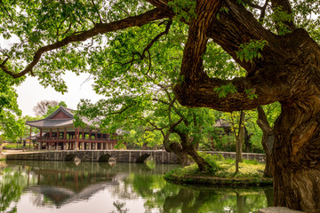  Traditional Gwanghalluwon Pavilion scene in spring