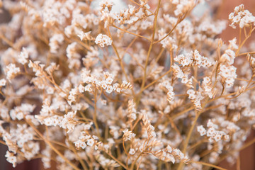 Bouquet White Static flowers