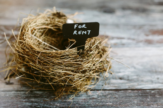 An empty nest with a rental sign. Real Estate concept.