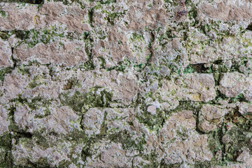 Old brick wall and lichen concrete crack