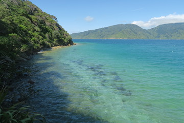 Fototapeta na wymiar Türkisblaues Wasser und Strand in Neuseeland