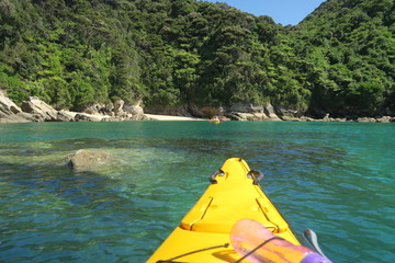 Kanufahrt im Abel Tasman Nationalpark mit Seel&ouml;wen - Robben