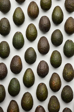 Avocados in rows.