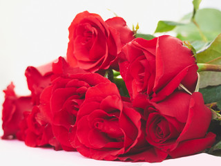 A bouquet of red roses. white background