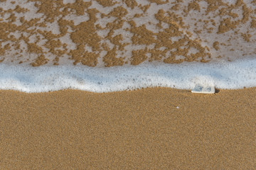 Single Tile on a Sunny Beach