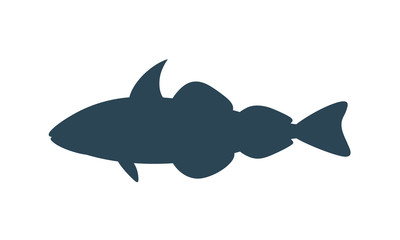 Haddock silhouette.  Isolated haddock on white background