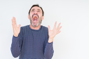 Handsome senior man over isolated background crazy and mad shouting and yelling with aggressive...