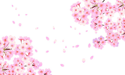 背景素材　桜フレーム　04