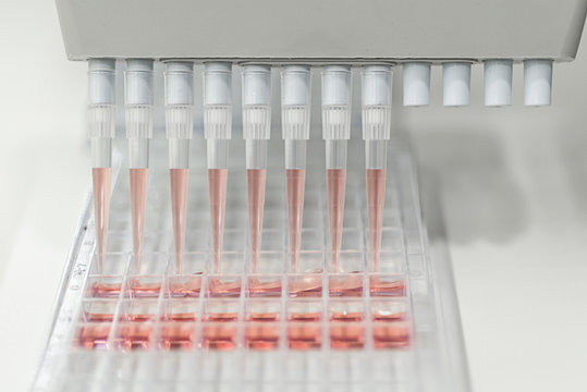 Multipipette in a DNA laboratory