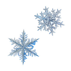 Two snowflakes isolated on white background. Macro photo of real snow crystals: elegant stellar...