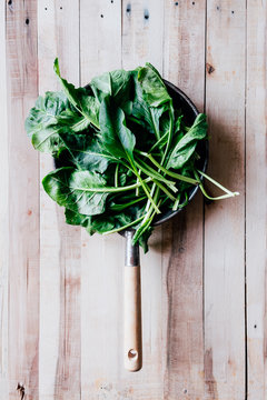 Green Swiss Chard