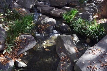 stones and flowing water in Japanese garden