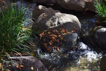 stones and flowing water in Japanese garden
