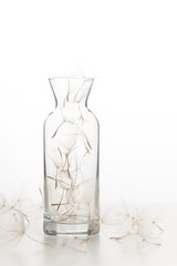 Dandelion umbrellas lie chaotically in a glass vase on a white background in the studio. Several umbrellas lie on a white reflective surface