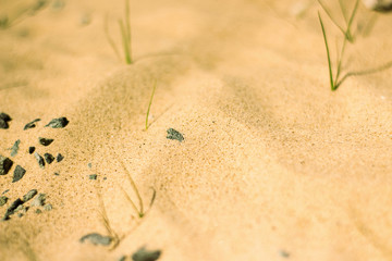 Sunny beach of Kazan