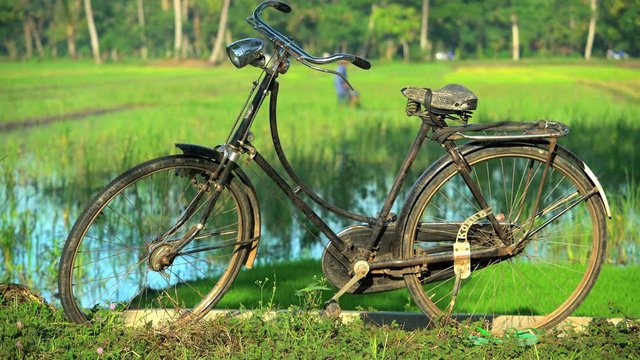 Bicycle by male manual farmer irrigating rice fields with tool Java Indonesia 