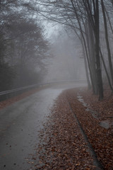 Montseny road in a foggy day