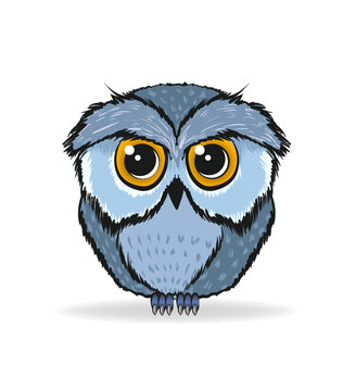 Funny owl on a white background. Cute vector owl.