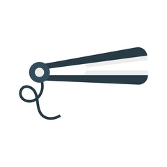 straightener   hair   salon