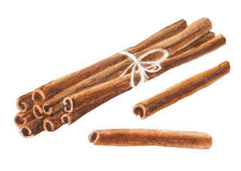 Watercolor cinnamon sticks set