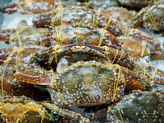 Fresh Crabs at the Seafood Market