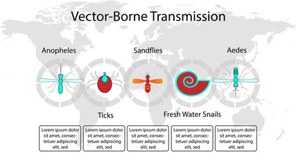 vector-borne transmission