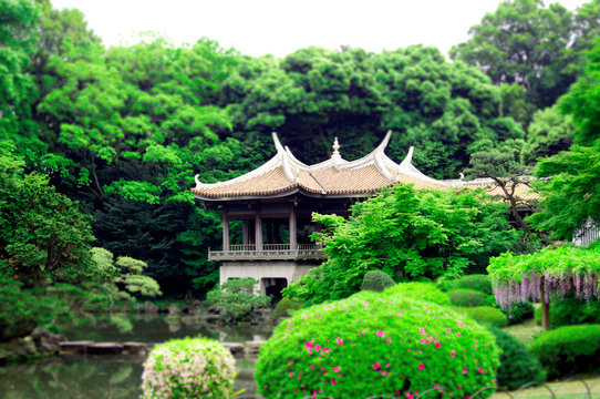 SONY DSC