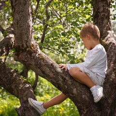 Naklejka na ściany i meble A small child sits in a tree on a sunny spring day. Children's outdoor activities.