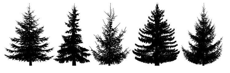 Forest trees set. Isolated vector silhouette. Christmas tree, fir-tree, pine, pine-tree, Scotch fir, cedar