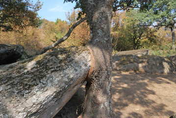 Beglik Tash-megalithic sanctuary, Bulgaria