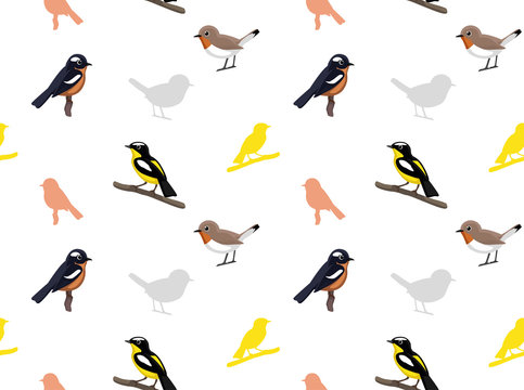 Bird Flycatcher Wallpaper