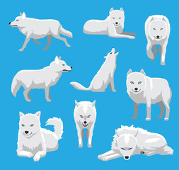 White Wolf Arctic Fox Cartoon Vector Illustration